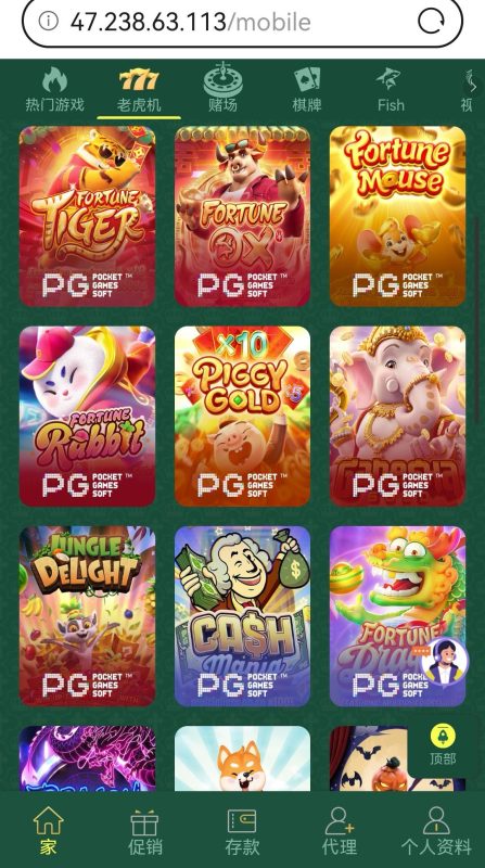 海外多语言PG电子综合娱乐全源系统插图3