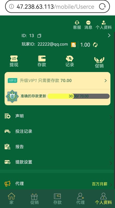 海外多语言PG电子综合娱乐全源系统插图1
